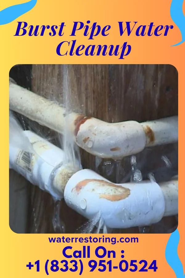 Burst Pipe Water Cleanup in Davison, MI