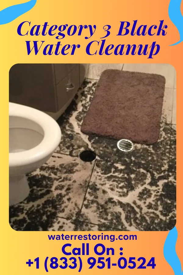 Category 3 Black Water Cleanup in Davison, MI