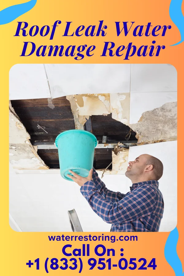Roof Leak Water Damage Repair in Davison, MI